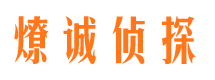 矿区市侦探调查公司